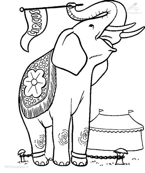kleurplaat olifant