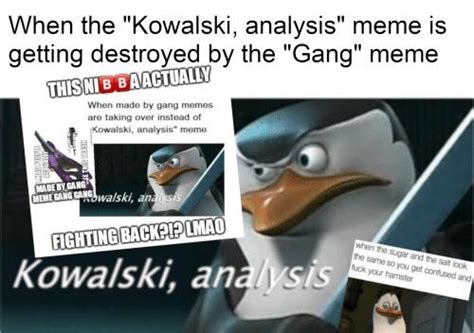 what s up with the kawasaki analysis meme outoftheloop