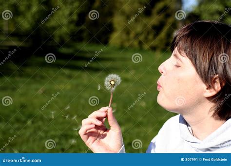 blow stock image image  people girl flower blowing