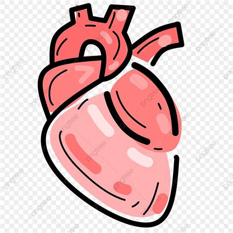 gambar ilustrasi ikon tema doodle jantung manusia jantung biologi