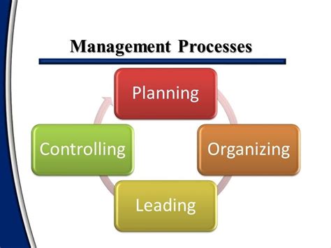 management   management processes