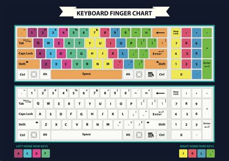 printable typing keyboard diagram gif plant diagram