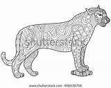 Panther Coloring Vector Adults Book Mandala Illustration Shutterstock Stock Adult Zentangle Pattern Preview sketch template