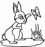 Coloring Spring Butterfly Pages Kidprintables Return Main Bunny sketch template