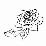 Rose Drawing Line Outlines Outline Easy Clipartmag Flowers Getdrawings sketch template