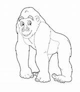 Gorilla Coloring Pages Mountain Cute Getcolorings Color Getdrawings sketch template