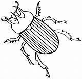 Insectos Escarabajo Escarabajos Gusanos Picasa sketch template