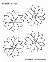 Poinsettia Firstpalette sketch template