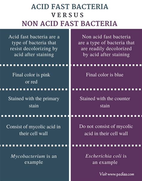 difference  acid fast   acid fast bacteria