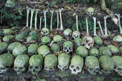 skulls and bones in the forest cemetery of bali aga