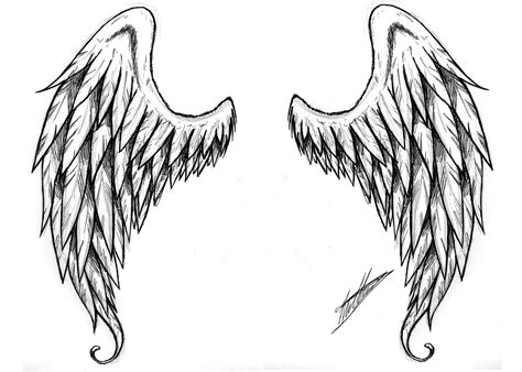 simple angel wings drawing clipartsco