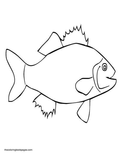 fish coloring book pages az coloring pages clipartsco