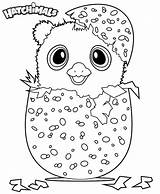 Hatchimals Hatchimal Hamster Kolorowanki Colleggtibles Tsgos Dzieci Dla Wydruku sketch template