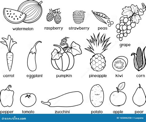 coloring page big set   fruits  vegetables stock vector