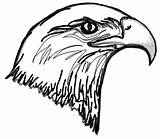 Eagle Head Bald Coloring Drawing Easy Netart Clipart Kids American Getdrawings Clipartbest Sun Button Using Print sketch template