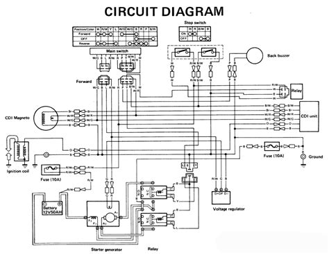 yamaha  volt wiring diagram wiring diagram