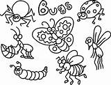 Insect Insetti Colorano Insectes Colorant Svegli Messo Istruzione Piccoli Semplice Bambini Caterpillar Copi Balena Pesce sketch template