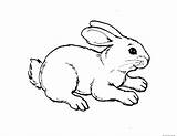 Coloring Pages Rabbit Animal Kids Printable Print Colouring Cartoons sketch template