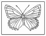 Butterfly Monarch Coloring Pages Color Getcolorings sketch template