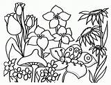 Pages Coloring Flower Garden Clipart Colouring Library Kids sketch template