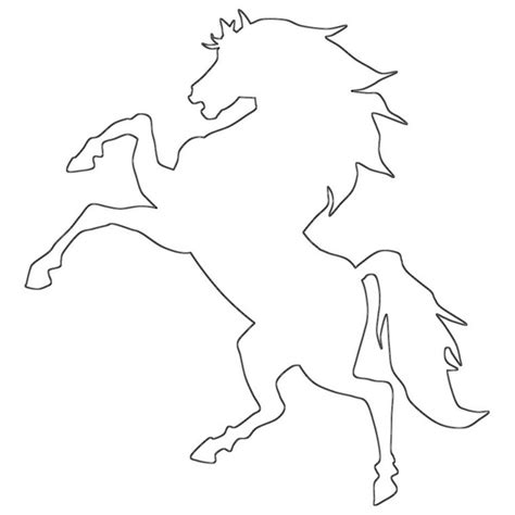 purebred horse outline  coloring page coloring buddy