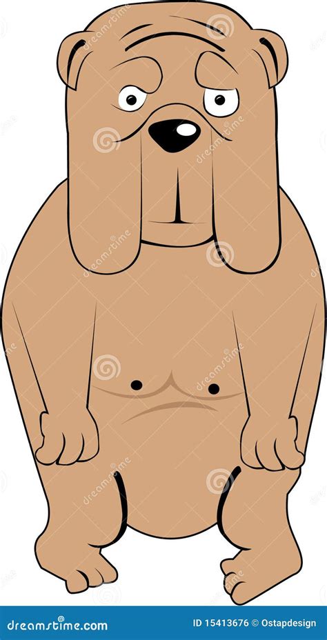 bulldog stock vector illustration  animal funny bulldog