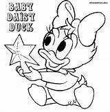 Duck Daisy Coloring Pages Baby Coloringway Source Visit Site Details sketch template