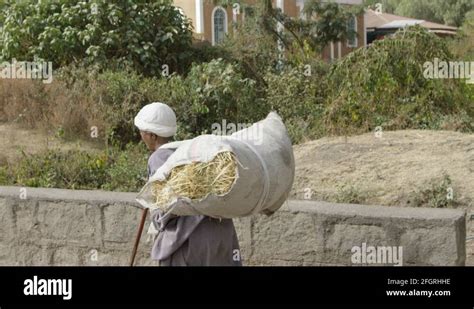 man carrying goods stock  footage hd   video clips alamy
