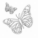 Papillon Mandalas Mariposa Coloriage Coloriages Imprimer Dibujo Kb sketch template