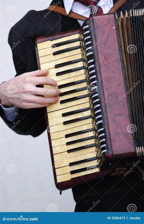 piano accordion stock image image  musical accordion