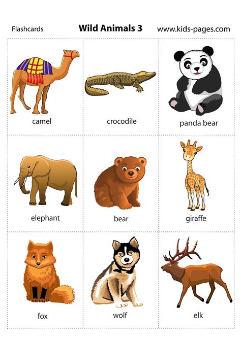 printable flashcard  wild animals  parents  teachers kids