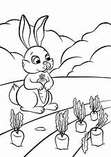 Carrot Mit Karotte Hasen Wenige Hare Lepre Carota Poca раскраски категории из все Animali sketch template