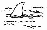 Fin Shark Clip Clipart Drawing Similiar Keywords Wikiclipart Pluspng sketch template