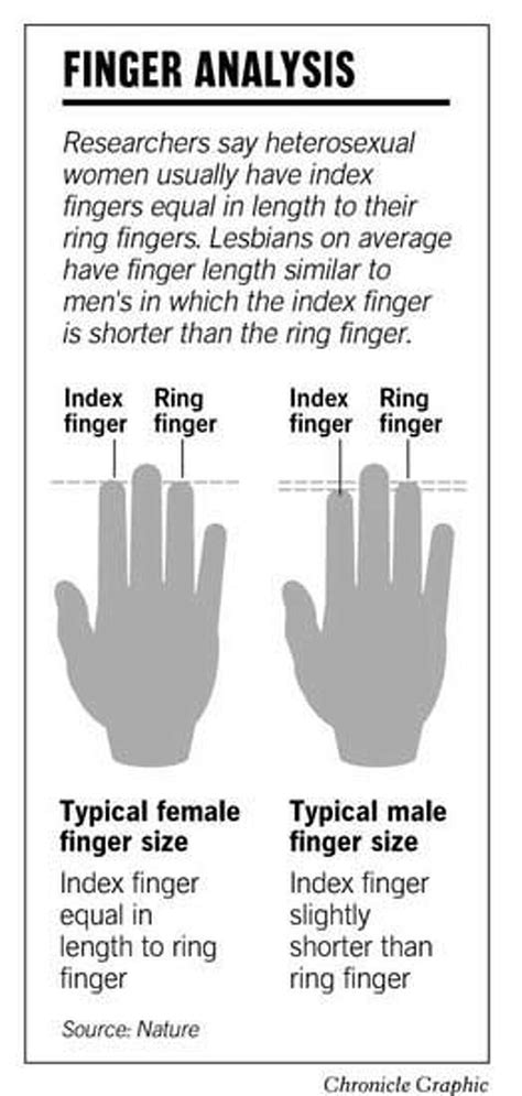 finger length points to sexual orientation anatomy quirk called