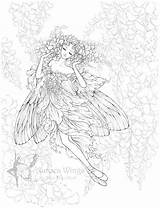 May Wisteria Mitzi Aurora Wings Fantasy sketch template