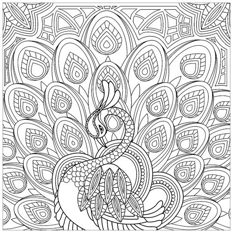 squared coloring page   peacock peacocks adult coloring pages