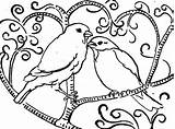 Coloring Birds Pages Bird Lovebird Feeder Nightingale Getcolorings Perching Tree Designlooter Batch Color Printable 446px 92kb Tweety sketch template