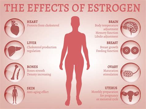 estrogen soy pranin organic
