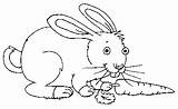 Rabbit Coloring Para Imprimir Pintar Da sketch template
