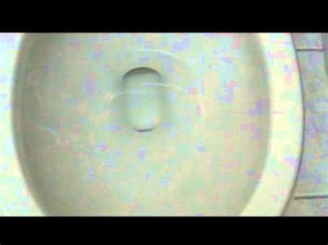 jacuzzi perfecta toilet  action youtube