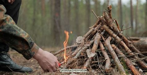 hardcore wilderness survival  heres   learned   personal aspect