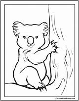 Koala Coloring Pages Baby Kangaroo Kids Cute Worksheet Searches Recent Koalas Colorwithfuzzy sketch template