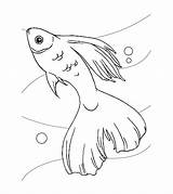 Fish Coloring Koi Pages Printable Momjunction sketch template