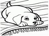Coloring Dog Pages Small Getcolorings Color Printable sketch template