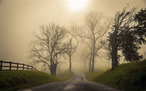 la route dans le brouillard voir les  de paysages pc grand ecran