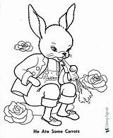 Peter Rabbit Coloring Pages Printable Below Click sketch template