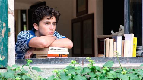 book cover plot details revealed for “call me by your name” sequel
