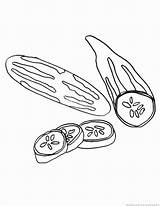 Cucumber Coloring Pages Two Cucumbers sketch template