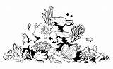 Barrier Becuo Reefs Korallen Designlooter Getdrawings sketch template