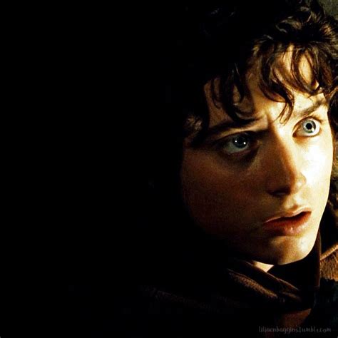 to paths that lead home frodo baggins frodo the hobbit